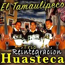 Trio Reintegracion Huasteca - El Fandanguito