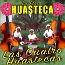 La Flor Huasteca - Las Cuatro Huastecas