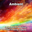 Ambient New Age Instrumental - Ambient Pt 4