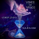 VOICE OF SPACE - Нам остается время