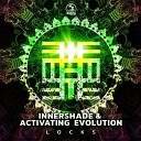 InnerShade Activating Evolution - Locks