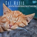 Music for Cats Peace - Bathed in Moonlight
