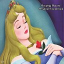 The Cast of Sleeping Beauty - A Fairy Tale Come True Original