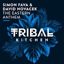 Simon Fava David Novacek - The Eastern Anthem Original Mix