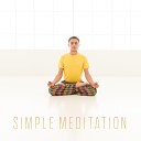 Meditation Yoga Music Masters - Tree of Silence