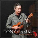 Tony Gamble - Angry Planet