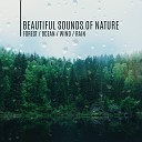 Lovely Nature Music Zone - A Bonfire in the Forest