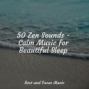 Sleeping Music Experience Kinderlieder Megastars M sica… - Morning Meditation Melody