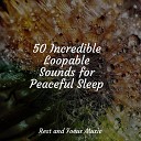 Spa Best Relaxing SPA Music Spa Sleep - Deep Asleep Totally Relaxed