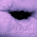 Dj Pulya - Шизофрения