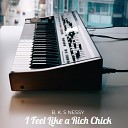 B K S NESSY - I Feel Like a Rich Chick