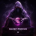Silent Phocus - Mood Swing