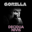 Decidua Nivis - Late Night Drive