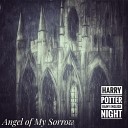 Angel of My Sorrow - Harry Potter Rainy English Night