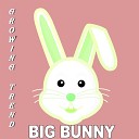 Big Bunny - Astonishing
