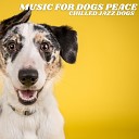 Music For Dogs Peace - Paws on the Floor