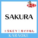 Unknown - SAKURA 2Key