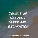 The Sleep Helpers Deep Relaxation Meditation Academy Kinderlieder… - Relaxing Times