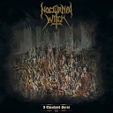 Nocturnal Witch - Black Chalice