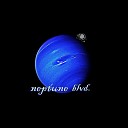 Shl The Audionaut - Neptune Blvd