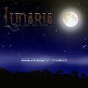 Sergey NSD - Goodbay Lunaria