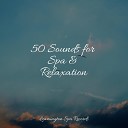 Soothing Chill Out for Insomnia Mindfulness Mediation World Water Sounds for… - Chill Before Snoozing