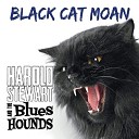 Harold Stewart The Blues Hounds - C Breeze