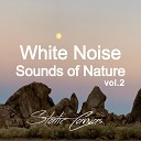 Static Canvas - White Noise Sounds of Sequoia Loopable