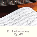 Chicago Symphony Orchestra Fritz Reiner John… - Ein Heldenleben Op 40 The Hero