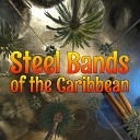 Kendon Charles Trinidad Steel Band - Shake Up Your Body Line