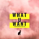 Fernando Deluz - What U Want