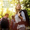 Nature Sound Band - Forest of Birds and Small Worms Singing