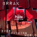 Brrak - Ever Changing World