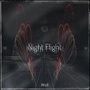 MsE - Night Flight