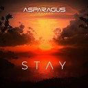 ASPARAGUSproject - Stay