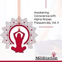 Paul Peace Meditation Library - Perpetual Meditation