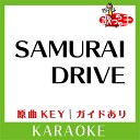 Unknown - SAMURAI DRIVE hitomi