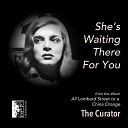 The Curator - She s Waiting There For You