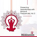 David Peace and Harmony Studio - A Pious Soul Calmative Sounds Of Meditation