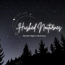 Gentle Night Harmony - Muted Moonlight Melodies