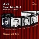 Sternwald Trio - F A E Sonata WoO22 No 3 in C Minor Scherzo