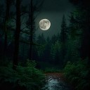 Nocturnal Mirage - Sleeping Forest
