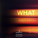 Andy Pitch - What