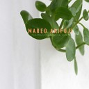 Mareo Akifuji - These Maternal Sounds Stabilizes Inside