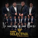 Banda Selectiva de Angel Romero El Tacuache - No Me Vas A Ver Llorar