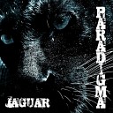 ParadigmA - Back to Roots