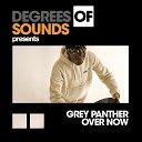 Grey Panther - Over Now