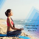 Paul Peace Meditation Library - Creating Mental Peace