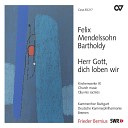 Deutsche Kammerphilharmonie Bremen Kammerchor Stuttgart Frieder… - Mendelssohn Singet dem Herrn ein neues Lied Op 91 Psalm 98 I Singet dem Herrn ein neues…