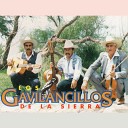 Los Gavilancillos De La Sierra - Vengo a Llevarme a Mi Chinita